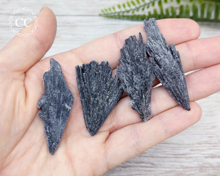 Black Kyanite Crystal Fan