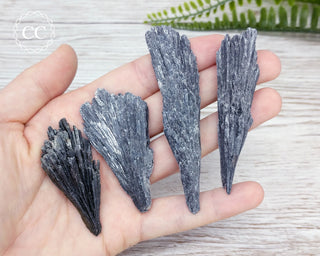 Black Kyanite Crystal Fans in hand