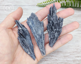 Black Kyanite Crystal Fan