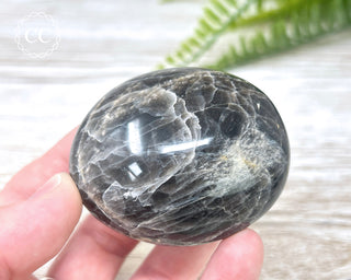 Black Moonstone Chunky Palm Stone #4