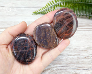 Black Moonstone Palm Stone