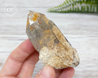 Quartz Point with Black Tourmaline #3