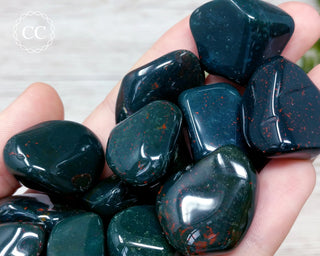 Bloodstone Tumbled Crystal