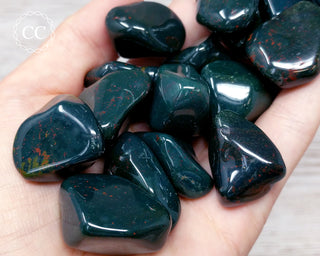 Bloodstone Tumbled Crystal