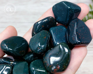 Bloodstone Tumbled Crystal