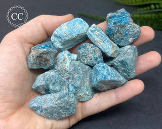 Blue Apatite Raw Crystals in hand