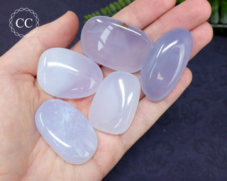 Blue Chalcedony Tumbled Crystal