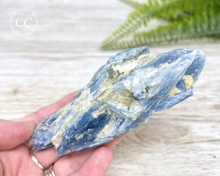 Blue Kyanite Crystal #3