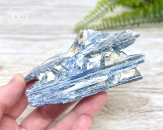 Blue Kyanite Crystal #7