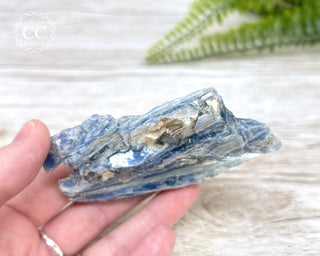 Blue Kyanite Crystal #7
