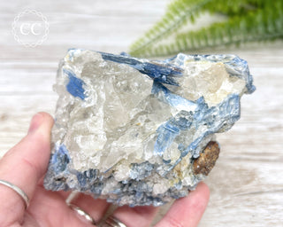 Blue Kyanite Crystal #1