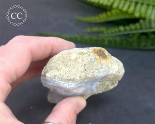 Blue Lace Agate Malawi #14