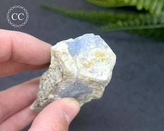 Blue Lace Agate Malawi #4
