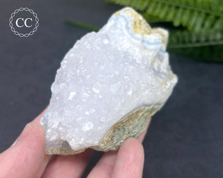 Blue Lace Agate Malawi #5