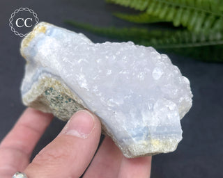 Blue Lace Agate Malawi #5