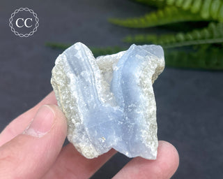 Blue Lace Agate Malawi #10
