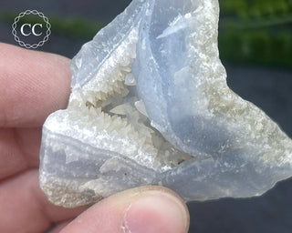 Blue Lace Agate Malawi #10
