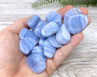 Blue Lace Agate Tumbled Crystals in hand