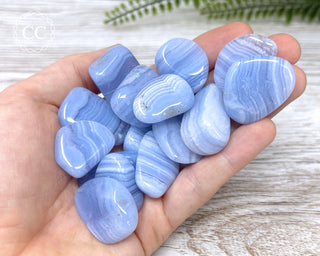 Blue Lace Agate A Grade Tumbled Crystal