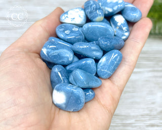 Blue Opal Tumbled Crystal
