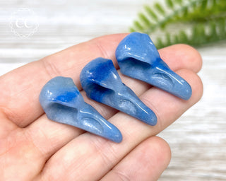Dumortierite Raven Skulls in hand