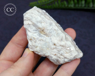 Blue Seam Agate Specimen #5