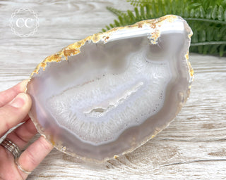 Agate Slice #1