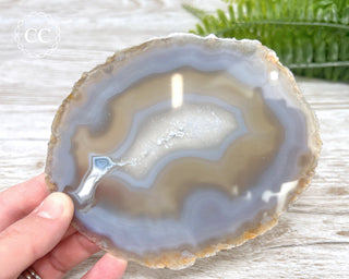 Agate Slice #16