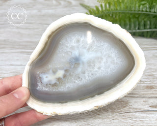 Agate Slice #9