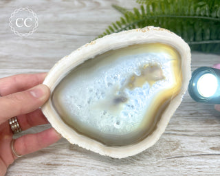 Agate Slice #9