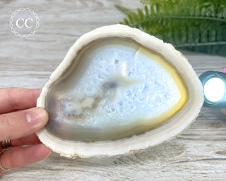 Agate Slice #9