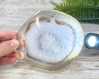 Agate Slice #10