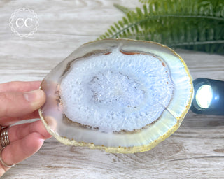 Agate Slice #10