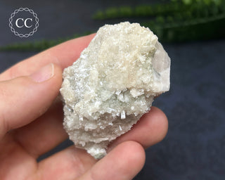 Brewsterite on Calcite #2