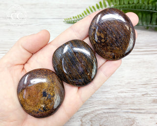 Bronzite Palm Stone