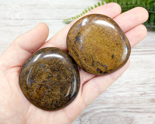 Bronzite Palm Stone
