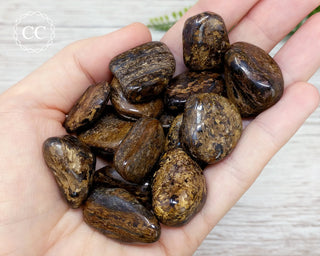 Bronzite Tumbled Crystals in hand