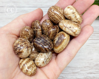 Brown Striped Aragonite Tumbled Crystal