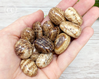 Brown Striped Aragonite Tumbled Crystals in hand