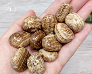 Brown Aragonite Tumbled Crystals in hand