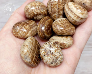 Brown Striped Aragonite Tumbled Crystal