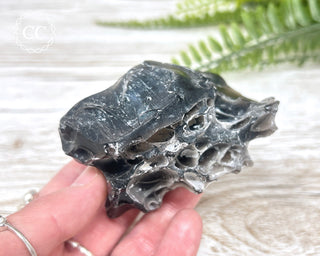 Bubble Obsidian - Armenia #1
