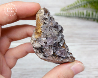 Burtree Slits Fluorite Specimen #16