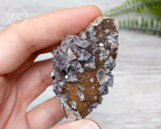 Burtree Slits Fluorite Specimen #16