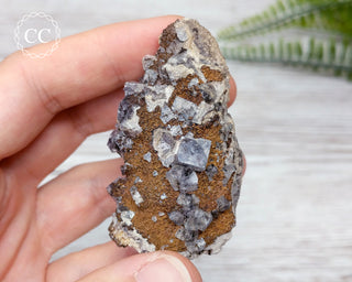 Burtree Slits Fluorite Specimen #16