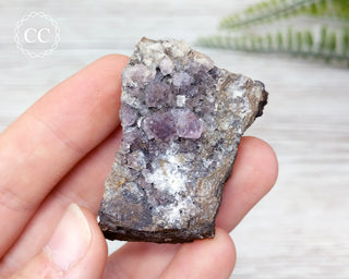 Burtree Slits Fluorite Specimen #26