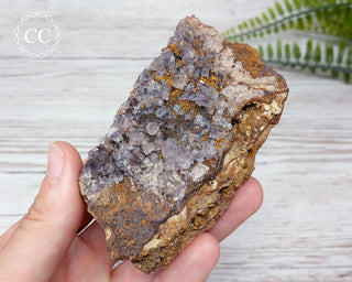 Burtree Slits Fluorite Specimen #4