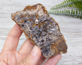 Burtree Slits Fluorite Specimen #4