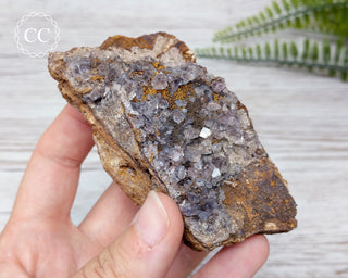 Burtree Slits Fluorite Specimen #4