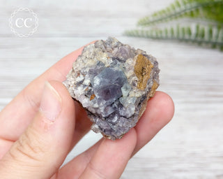 Burtree Slits Fluorite Specimen #9